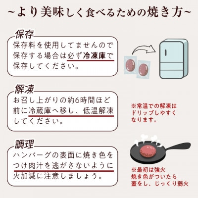 【常陸牛】100%ハンバーグ×10個(ソース付き) 茨城県共通返礼品