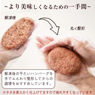 【常陸牛】100%ハンバーグ×10個(ソース付き) 茨城県共通返礼品