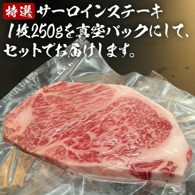 【常陸牛】A5等級 サーロインステーキ 計500g(250g×2枚) 茨城県共通返礼品