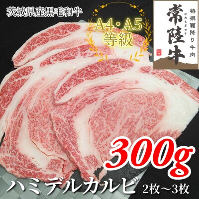 【常陸牛】ハミデルカルビ 300g(2～3枚)