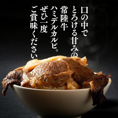 【常陸牛】ハミデルカルビ 計300g(2～3枚) 茨城県共通返礼品