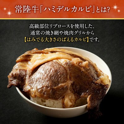 【常陸牛】ハミデルカルビ 計500g(3～5枚) 茨城県共通返礼品