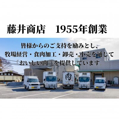 【毎月定期便】『常陸牛』希少部位ステーキ(ヒレステーキ)200g×3枚(茨城県共通返礼品)全6回