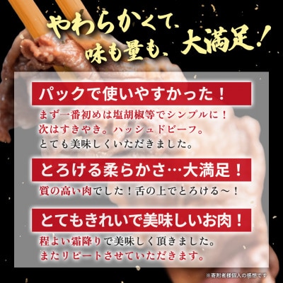 【毎月定期便】【常陸牛】 切り落とし 1kg(500g×2パック) 国産 A4・A5ランク全12回