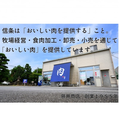 【毎月定期便】【常陸牛】 切り落とし 1kg(500g×2パック) 国産 A4・A5ランク全12回