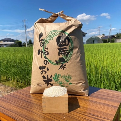 【新米】令和7年産 茨城県産 にじのきらめき 精米(白米) 5kg