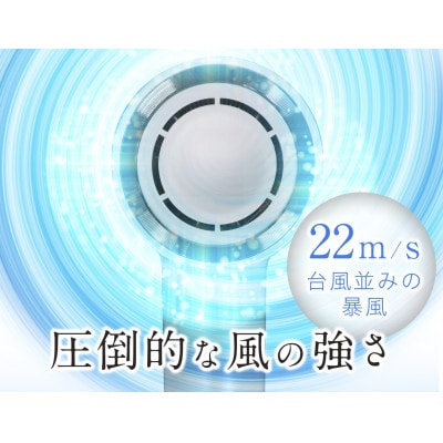 美ルル イオン ユーロス(速乾マイナスイオンドライヤー) スノーホワイト 大風量22m/s