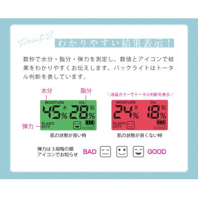 【ギフト包装】美ルル スキンチェッカーUSB