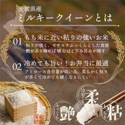 【入金確認後、最短5日で出荷】茨城県産ミルキークイーン10kg 五つ星お米マイスター監修
