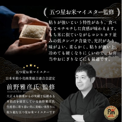 【入金確認後、最短5日で出荷】茨城県産ミルキークイーン10kg 五つ星お米マイスター監修