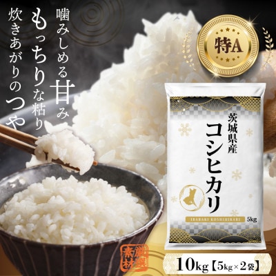【2025年3月発送受付中!】茨城県産コシヒカリ 精米10kg 五つ星お米マイスター監修