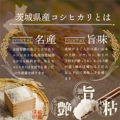 【2025年3月発送受付中!】茨城県産コシヒカリ 精米10kg 五つ星お米マイスター監修