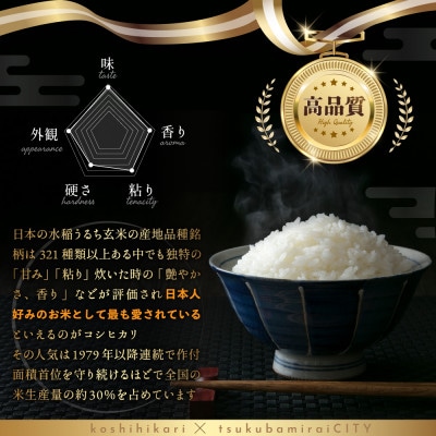 令和7年産 茨城県産 コシヒカリ 精米 合計5kg(5kg×1袋)