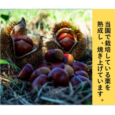 庄七農園限定　氷蔵熟成焼き和栗 (1kg)