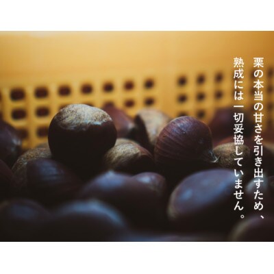 庄七農園限定　氷蔵熟成焼き和栗 (1kg)