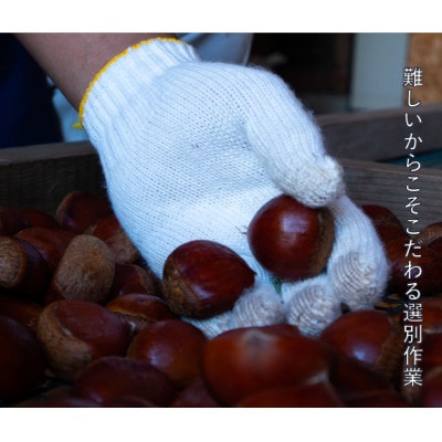 庄七農園限定　氷蔵熟成焼き和栗 (500g)