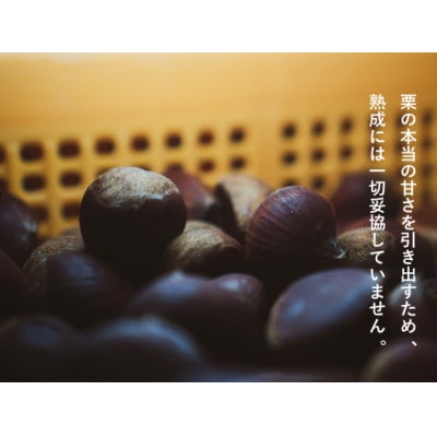 庄七農園限定　氷蔵熟成焼き和栗 (500g)