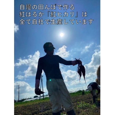 【簡易包装】寒干し極(100g×10P)田んぼで栽培した紅はるかで作る、ねっとり干し芋