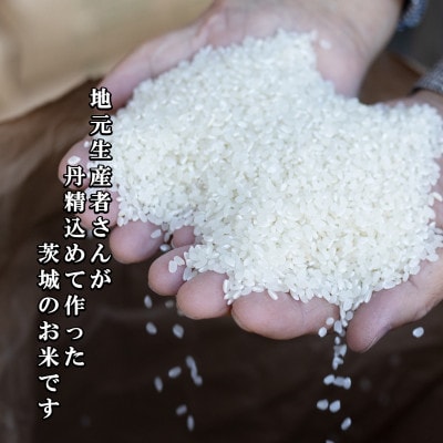 【さとふる限定】令和7年産 茨城県産 お米 にじのきらめき 10kg(5kg×2袋) 精米