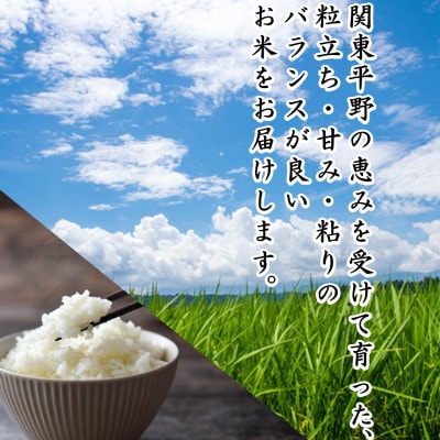 【さとふる限定】令和7年産 茨城県産 お米 にじのきらめき 5kg 精米
