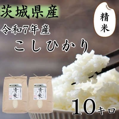 令和7年産 茨城県産 お米 こしひかり 10kg(5kg×2袋) 精米