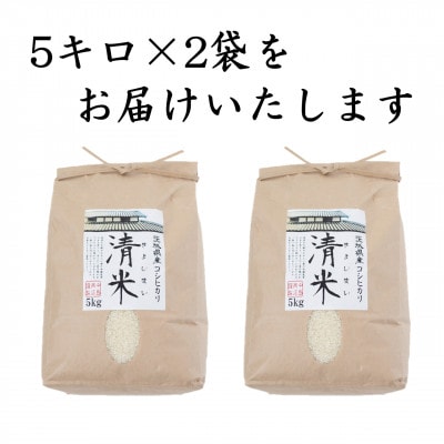 令和7年産 茨城県産 お米 こしひかり 10kg(5kg×2袋) 精米