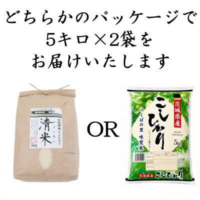 令和7年産 茨城県産 お米 こしひかり 10kg(5kg×2袋) 精米