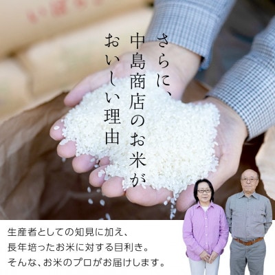 新米令和8年産 茨城県産 お米 こしひかり 10kg(5kg×2袋) 精米