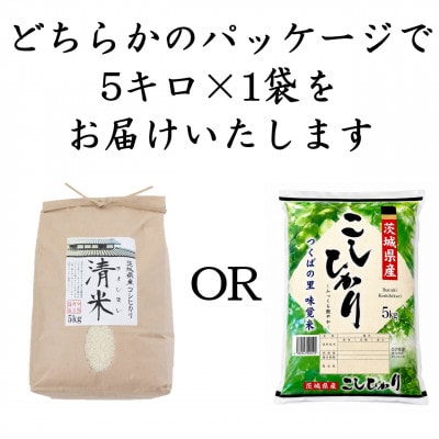令和7年産 茨城県産 お米 こしひかり 5kg 精米