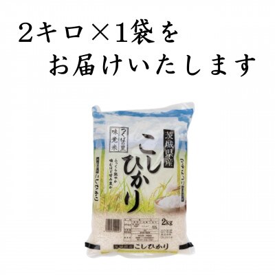 令和7年産 茨城県産 お米 こしひかり 2kg　(2kg×1袋)  精米