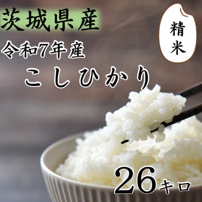 令和7年産 茨城県産 お米 こしひかり 26kg 精米