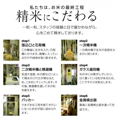 新米令和8年産 茨城県産 お米 こしひかり 26kg(26kg×1袋) 精米