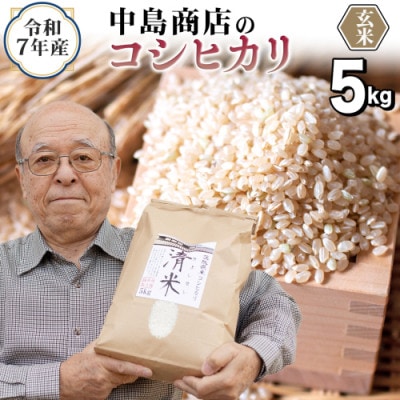 【玄米】令和7年産 茨城県産 お米 こしひかり 5kg