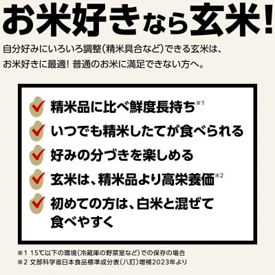 【玄米】新米令和8年産 茨城県産 お米 こしひかり 5kg(5kg×1袋)