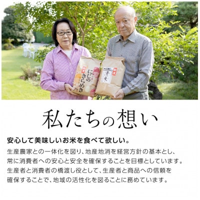 【玄米】新米令和8年産 茨城県産 お米 こしひかり 5kg(5kg×1袋)