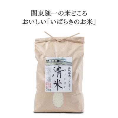 【玄米】令和7年産 茨城県産 お米 こしひかり 30kg