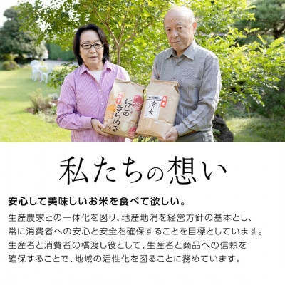 【玄米】新米令和8年産 茨城県産 お米 こしひかり 30kg(30kg×1袋)