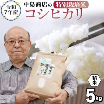 令和7年産 茨城県産 お米 特別栽培米 こしひかり 5kg(5kg×1袋) 精米