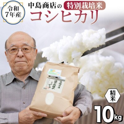 令和7年産 茨城県産 お米 特別栽培米 こしひかり 10kg(5kg×2袋) 精米