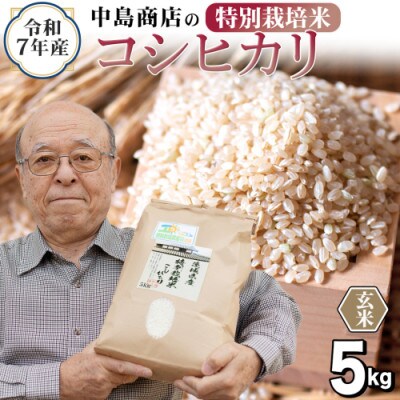 【玄米】令和7年産 茨城県産 お米 特別栽培米 こしひかり 5kg(5kg×1袋)