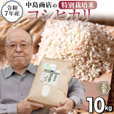 【玄米】令和7年産 茨城県産 お米 特別栽培米 こしひかり 10kg(5kg×2袋)