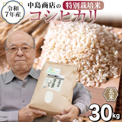 【玄米】令和7年産 茨城県産 お米 特別栽培米 こしひかり 30kg(30kg×1袋)