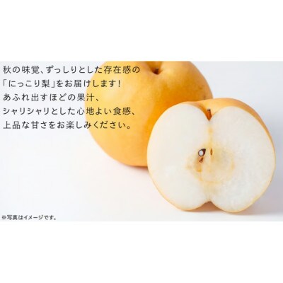 にっこり 梨 10kg(16～20玉)【2026年10月より発送開始】(茨城県共通返礼品:大子町産)
