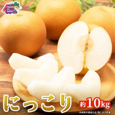 【2026年10月～発送】にっこり梨 10kg(16～20玉)(茨城県共通返礼品 [梨]:大子町産)