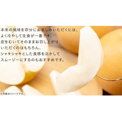 にっこり 梨 10kg(16～20玉)【2026年10月より発送開始】(茨城県共通返礼品:大子町産)