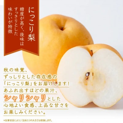 【2026年10月～発送】にっこり梨 10kg(16～20玉)(茨城県共通返礼品 [梨]:大子町産)