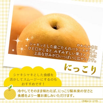 【2026年10月～発送】にっこり梨 10kg(16～20玉)(茨城県共通返礼品 [梨]:大子町産)