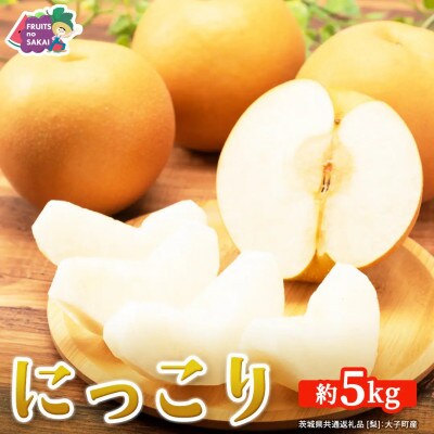 【2026年10月～発送】にっこり 梨 5kg (7～10玉)(茨城県共通返礼品 [梨]:大子町産)