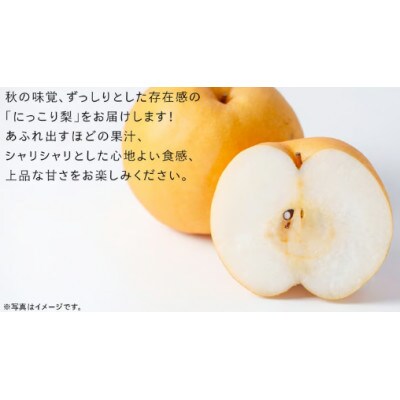 にっこり 梨 3kg(4～5玉)【2026年10月より発送開始】(茨城県共通返礼品:大子町産)