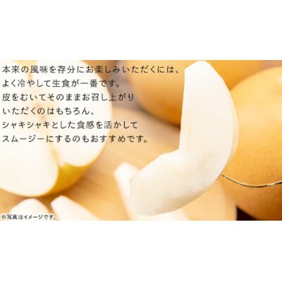 にっこり 梨 3kg(4～5玉)【2026年10月より発送開始】(茨城県共通返礼品:大子町産)